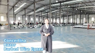 Fil de fer barbelé de rasoir en accordéon Fil de rasoir Egoza Clôture de sécurité de fil de fer barbelé de rasoir
