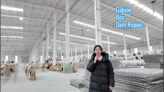 Utilisation par l'armée de la boîte de gabions de production de barrière Hesco pour la restauration d'un mur de soutènement solide