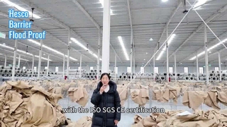 Hesco Barrières Forte Défense Protection Contre Les Inondations