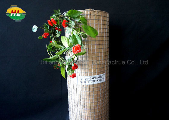 Hot Dip Galvanized 1'' X 1'' Mesh 3ft X 30m 16Gauge Welded Wire Mesh Roll Ideal For High-Grade DIY Cages Animal Mesh